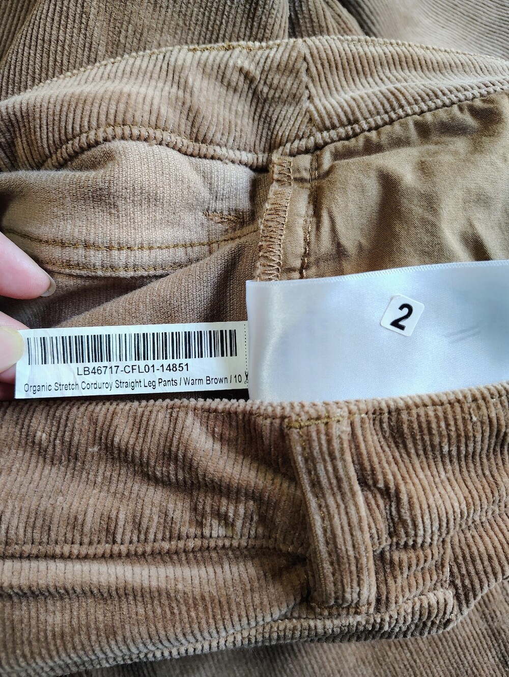 NWT Quince Organic Cotton Women's Straight-Leg Corduroy Pant Warm Brown sz 10. - Picture 12 of 16